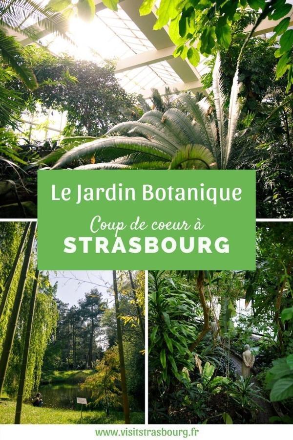 Appartement 6 Personnes Strasbourg Proche Centre Ville & Parking Dış mekan fotoğraf